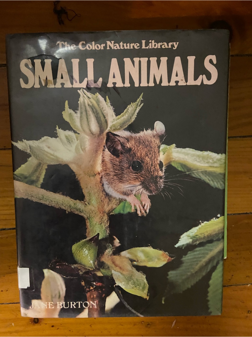 Vintage 70s Small Animals animal photo book Nature Green mouse Cover wildlife